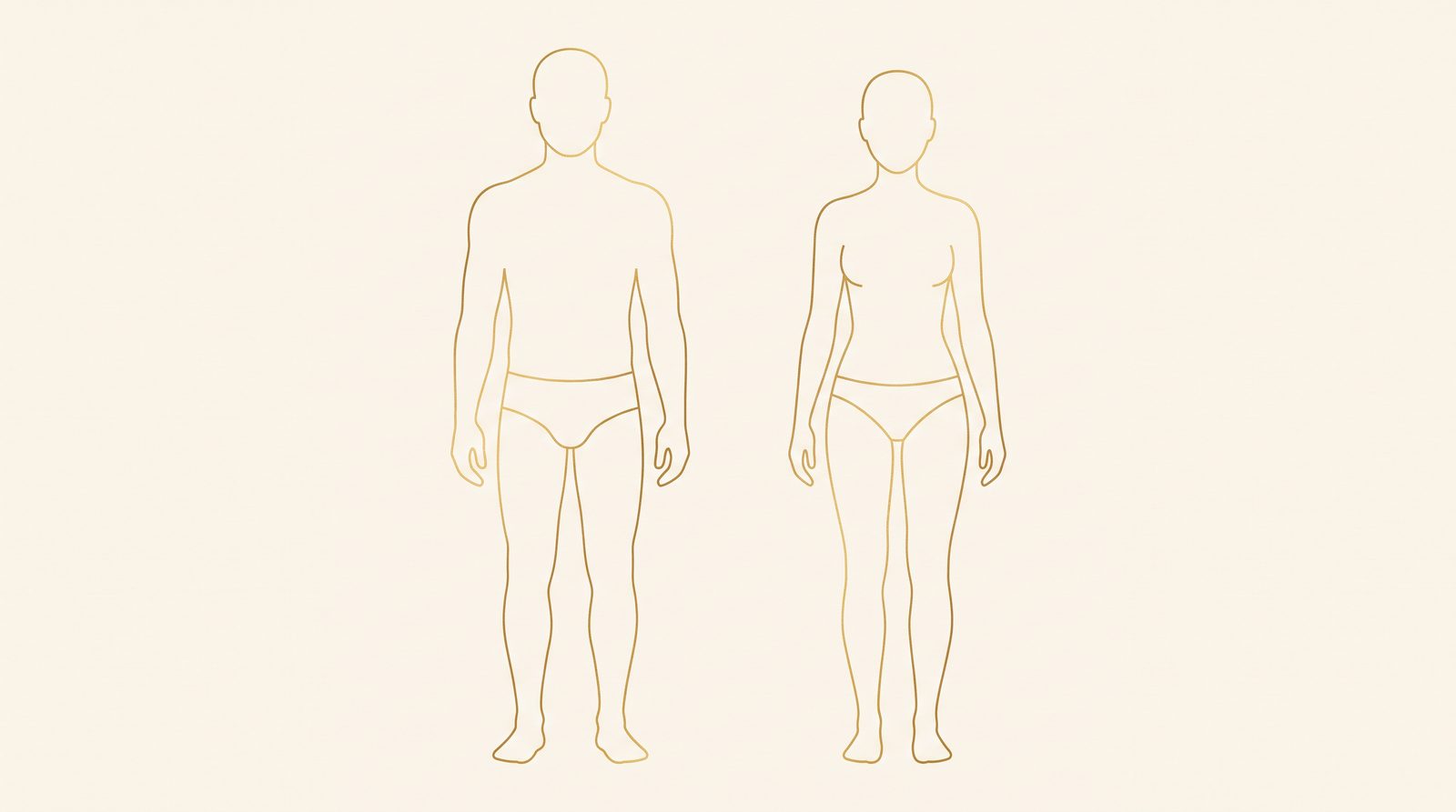 Simple line illustration of a male and a female body